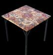 x Petrified Wood Table With Powder Coated Base #52943-2